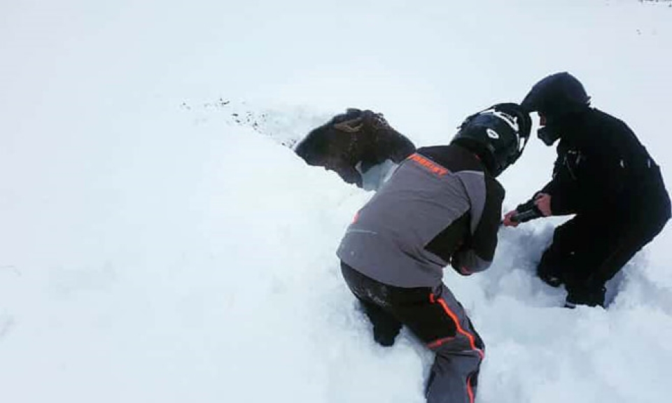 giai cuu nai mac ket trong lop tuyet day 2 m o canada