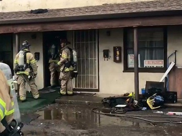 "Chi" 11.000 USD để giết... một con nhện