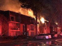 cheo xuong lao xuong thac nuoc cao 40m de lap ky luc