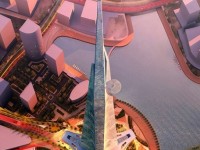 phat hien cay cao nhat the gioi co chieu dai hon mot san bong da