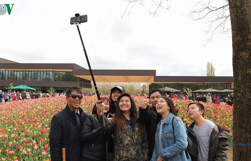 Hà Lan: Huyền thoại loài hoa tulip