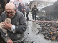 can ho boc mui vi 130 con meo chung song voi chu nhan