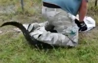 thai lan nguoi dan ong song chung nha voi ca sau suot 20 nam