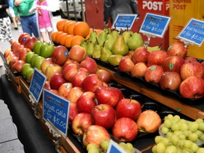 Lợi ích của thực đơn kiểu Địa Trung Hải với thụ tinh trong ống nghiệm