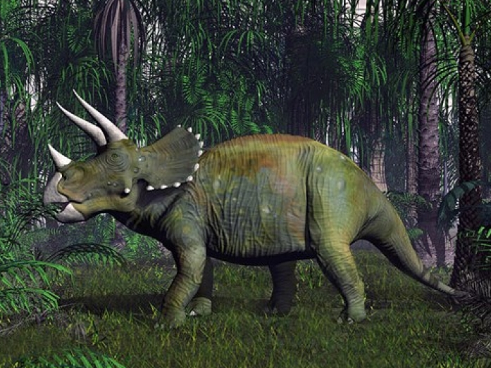 Động vật có vú nhiều khả năng sống sót hơn trong điều kiện khắc nghiệt