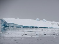 Băng tan ở Nam Cực đã tăng gấp 6 lần kể từ thập niên 70