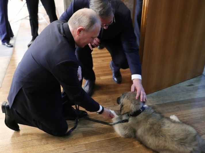 Tổng thống Nga thích thú với món quà đặc biệt của Tổng thống Serbia tặng