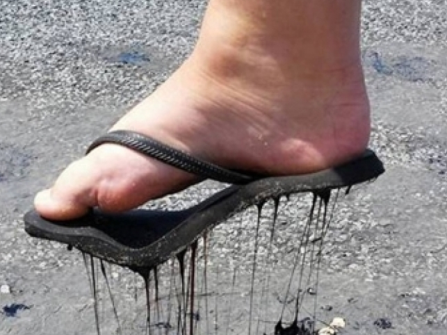 Những điều kỳ lạ chỉ có ở Australia