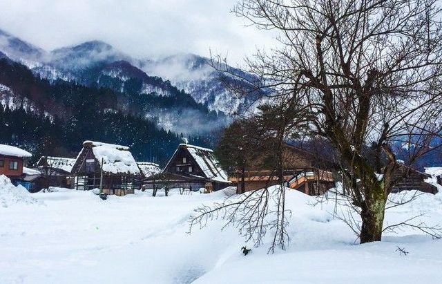 Ngày Đông như trong cổ tích ở ngôi làng cổ xưa nhất nước Nhật