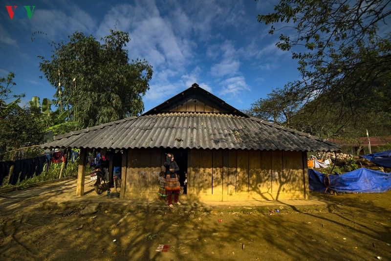 ngam sac hoa ruc ro khi mua xuan ve tren cao nguyen moc chau