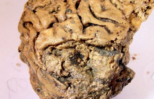 Bí ẩn não người cổ đại tồn tại nguyên vẹn trong 2.600 năm không phân huỷ