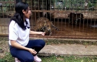 dich covid 19 duoi uoi o so thu phat khoc vi nho du khach