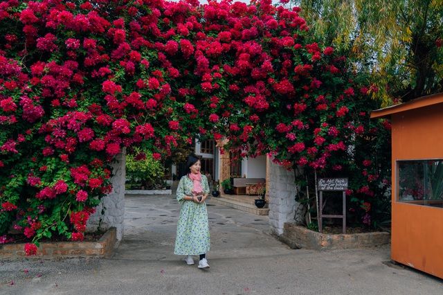 nhung dieu khien ban phai sung sot ve dat nuoc hanh phuc nhat the gioi