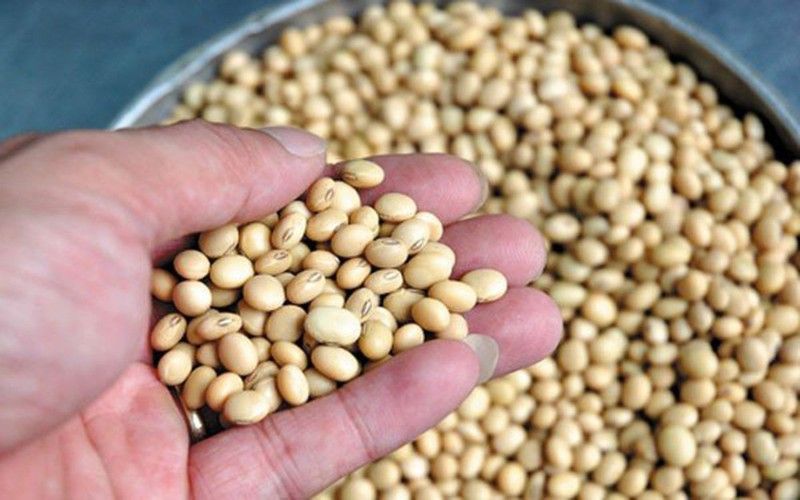 thuc pham an vao bua sang se giup sang da chong lao hoa