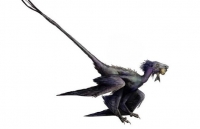 phat hien 3 loai bo sat bay moi o sahara