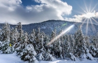 nganh hang khong quoc te huong toi san bay khong cham hau covid 19