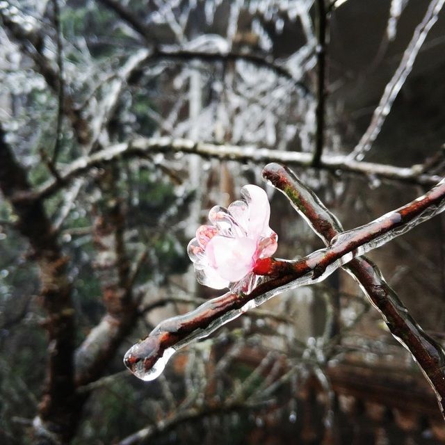 Khám phá những thiên đường ngắm băng tuyết tuyệt đẹp tại Việt Nam