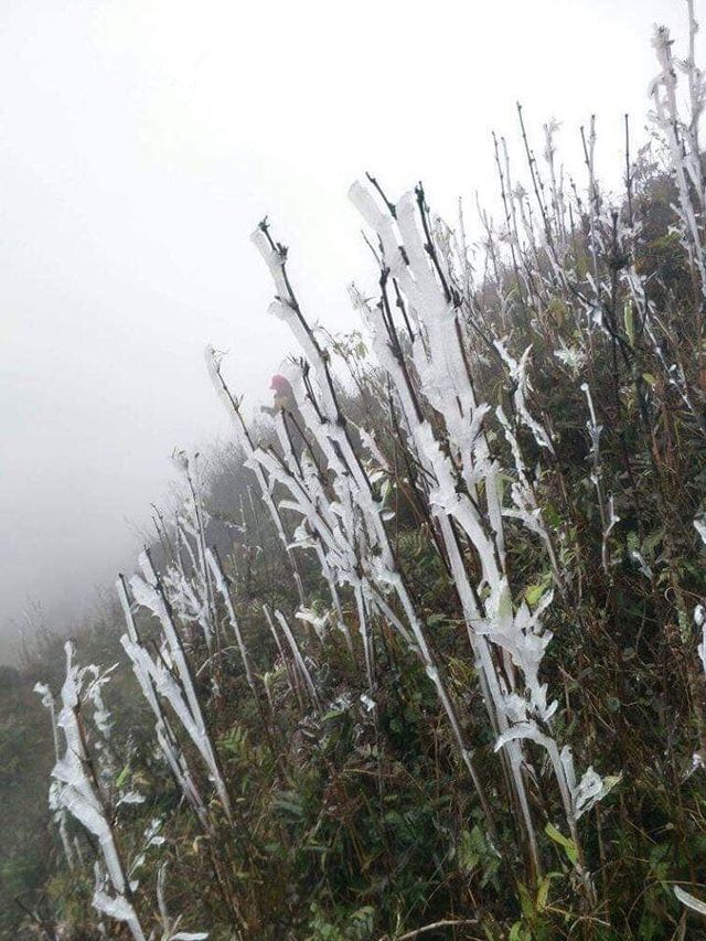 Khám phá những thiên đường ngắm băng tuyết tuyệt đẹp tại Việt Nam