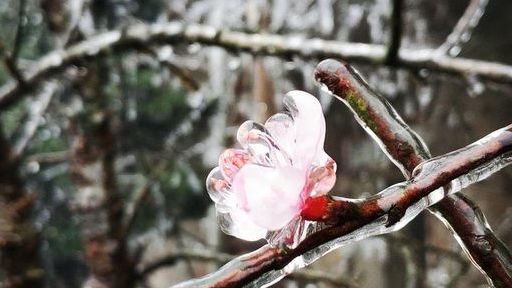 Khám phá những thiên đường ngắm băng tuyết tuyệt đẹp tại Việt Nam