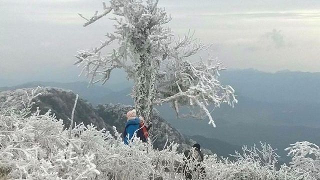 Dự báo thời tiết ngày và đêm nay (3/1): Bắc Bộ và Bắc Trung Bộ tiếp tục duy trì rét đậm, rét hại, vùng núi cao có nơi dưới 6 độ C