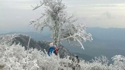 Dự báo thời tiết ngày và đêm nay (3/1): Bắc Bộ và Bắc Trung Bộ tiếp tục duy trì rét đậm, rét hại, vùng núi cao có nơi dưới 6 độ C