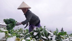 Dự báo thời tiết đêm nay và ngày mai (4-5/1): Bắc Bộ, Bắc Trung Bộ trời rét, vùng núi rét đậm rét hại; Nam Bộ mưa to cục bộ; Hà Nội rét 13-20 độ