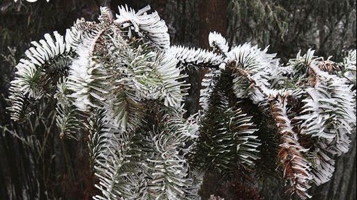 Dự báo thời tiết đêm nay và ngày mai (9-10/1): Hà Nội rét hại, vùng núi cao Tây Bắc Bộ có mưa tuyết; Nam Bộ đêm và sáng sớm trời lạnh