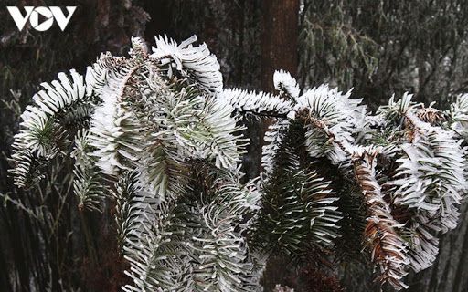 Dự báo thời tiết không khí lạnh mạnh tăng cường: