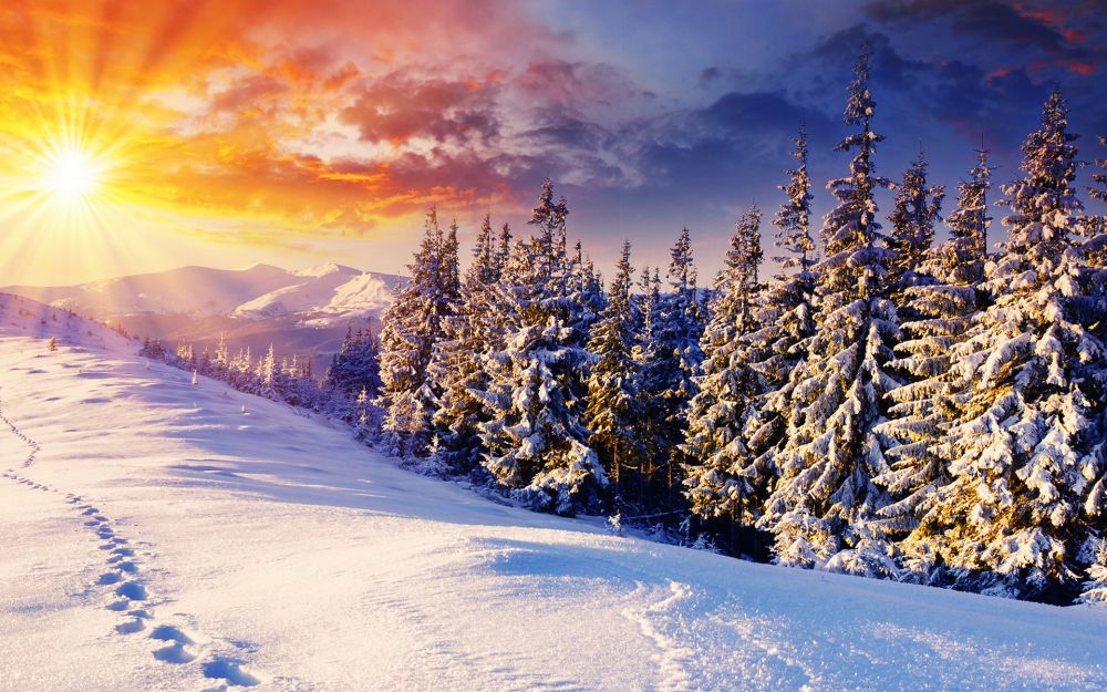 Những sự thật thú vị về mùa Đông Những sự thật thú vị về mùa Đông