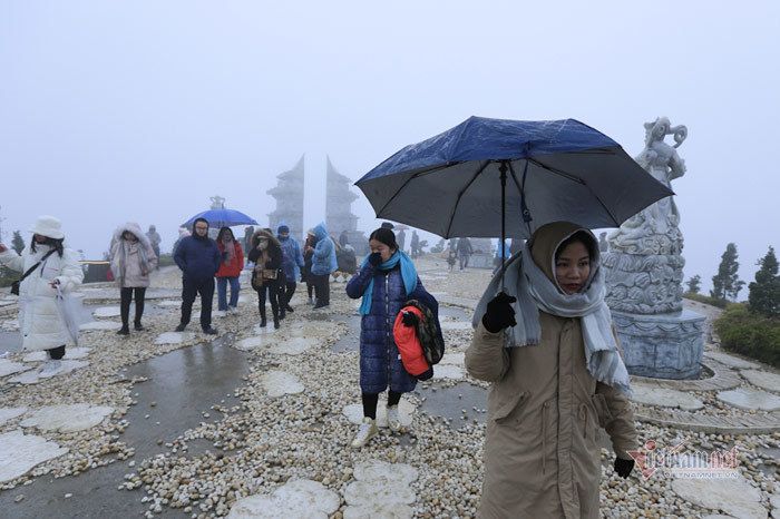 Cỏ cây lung linh như thủy tinh trong băng giá