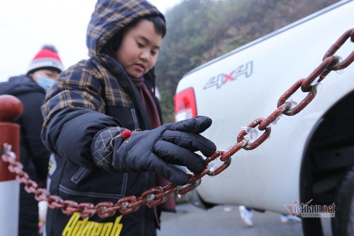 Cỏ cây lung linh như thủy tinh trong băng giá