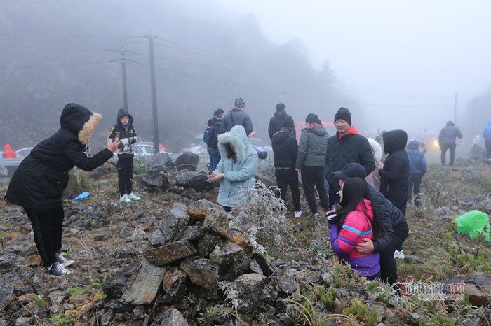 Cỏ cây lung linh như thủy tinh trong băng giá