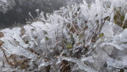 Dự báo thời tiết đêm nay và ngày mai (11-12/1): Bắc Bộ, Bắc Trung Bộ rét đậm rét hại, trưa chiều hửng nắng; Nam Bộ ngày nắng; Hà Nội rét đậm 8-18 độ