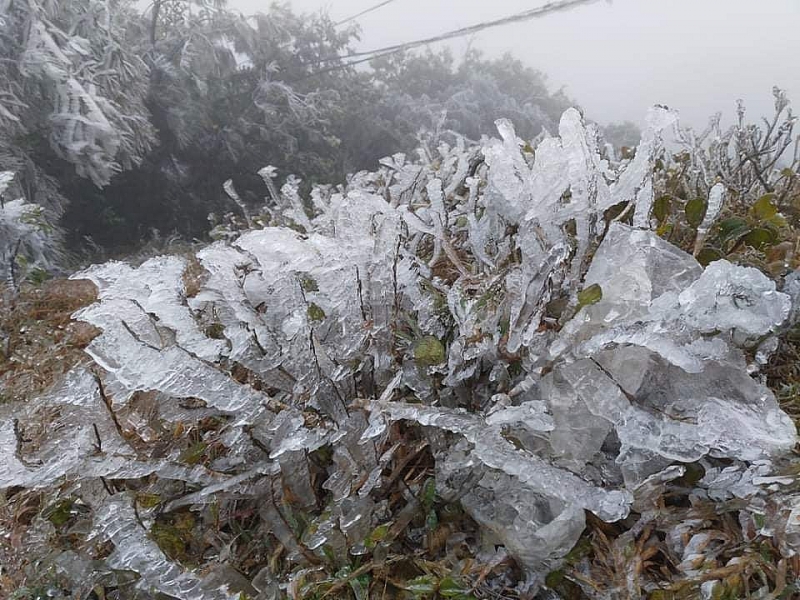 Dự báo thời tiết đêm nay và ngày mai (11-12/1): Bắc Bộ, Bắc Trung Bộ rét đậm rét hại, trưa chiều hửng nắng; Nam trung Bộ, Nam Bộ ngày nắng; Hà Nội rét Dự báo thời tiết đêm nay và ngày mai (11-12/1): Bắc Bộ, Bắc Trung Bộ rét đậm rét hại, trưa chiều hửng nắng; Nam trung Bộ, Nam Bộ ngày nắng; Hà Nội rét