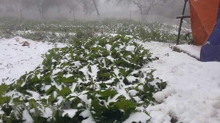 Dự báo thời tiết: Không khí lạnh mạnh đang di chuyển, ngày 17/1 Bắc Trung Bộ trời chuyển rét đậm, rét hại; Hà Nội nhiệt độ thấp nhất 8-11 độ Dự báo thời tiết: Không khí lạnh mạnh đang di chuyển, ngày 17/1 Bắc Trung Bộ trời chuyển rét đậm, rét hại; Hà Nội nhiệt độ thấp nhất 8-11 độ