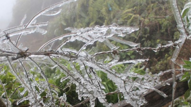 Dự báo thời tiết ngày và đêm nay (18/1): Bắc Bộ, Bắc Trung Bộ rét đậm rét hại, vùng núi cao mưa tuyết, băng giá; Nam Bộ ngày nắng; Hà Nội 8-18 độ