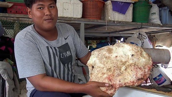 Ngư dân vô tình nhặt được khối long diên hương 7 kg, trị giá lớn