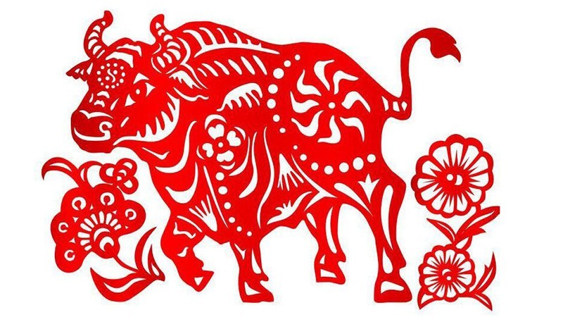 Tử vi 2022, xem tử vi tuổi Sửu năm Nhâm Dần mới nhất: Đón nhận nhiều khởi sắc mới