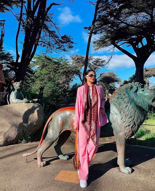 Trở lại 'đường đua' street style, Phạm Hương nhanh chóng cập nhật xu hướng thịnh hành để không 'thua chị kém em'. Khi diện suit hồng theo phong cách mensewer, cô chọn khăn lụa, túi đeo chéo hiệu Louis Vuitton làm điểm nhấn.