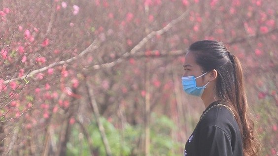 Ngày 18/1, Hà Nội thông báo có thêm 2.935 bệnh nhân Covid-19 mới; gia tăng F0 điều trị tại nhà