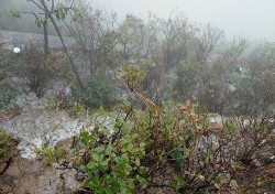 Ngày 21/12, không khí lạnh tăng cường Bắc Bộ và Bắc Trung Bộ tiếp tục rét