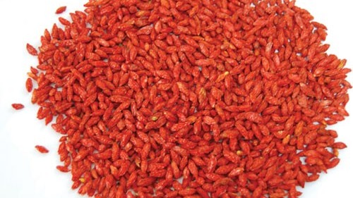 Trung Quốc phát hiện chiết xuất từ quả kỷ tử có thể hỗ trợ điều trị bệnh Alzheimer