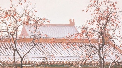 Trung Quốc: Ngắm Tử Cấm Thành mờ ảo hiếm thấy dưới những bông tuyết trắng