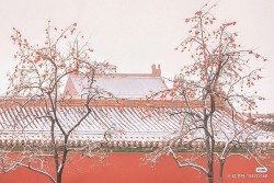 Trung Quốc: Ngắm Tử Cấm Thành mờ ảo hiếm thấy dưới những bông tuyết trắng