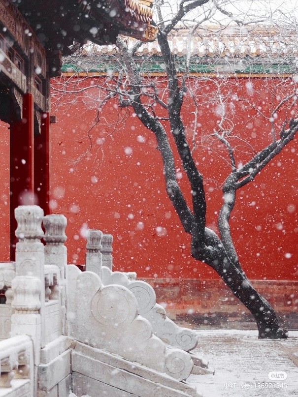 Trung Quốc: Tử Cấm Thành mờ ảo tự cổ tích trong màn tuyết trắng hiếm có