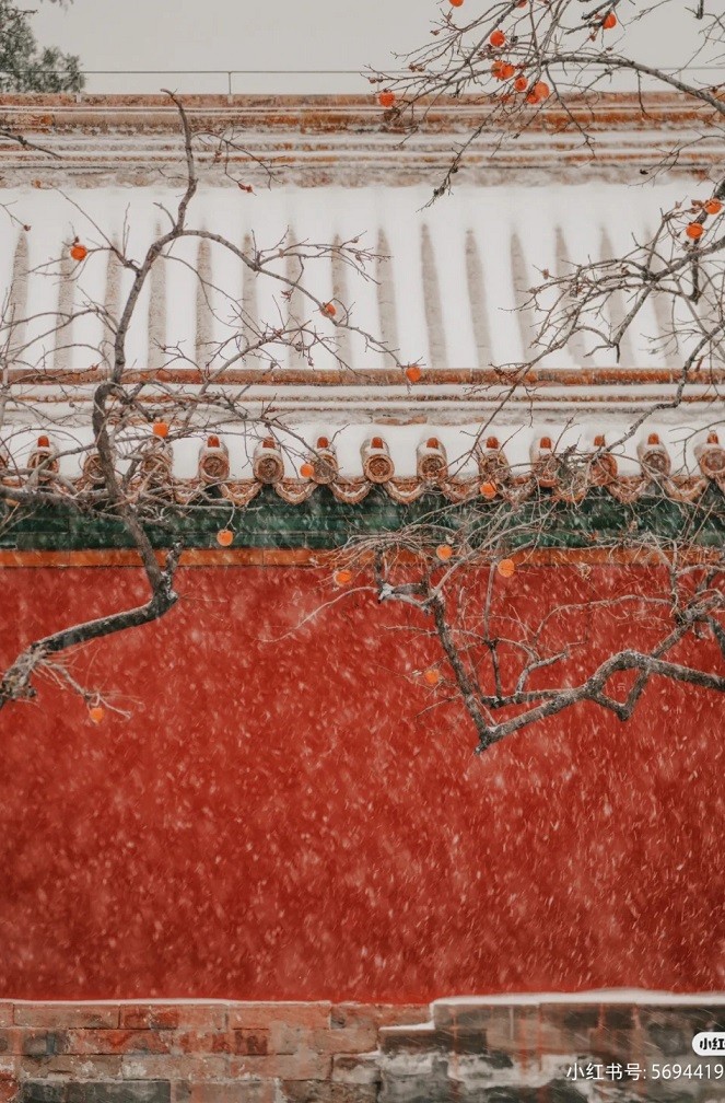 Trung Quốc: Tử Cấm Thành mờ ảo tự cổ tích trong màn tuyết trắng hiếm có