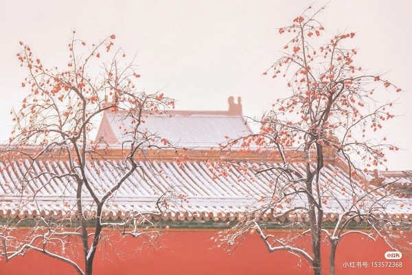 Trung Quốc: Tử Cấm Thành mờ ảo tự cổ tích trong màn tuyết trắng hiếm có