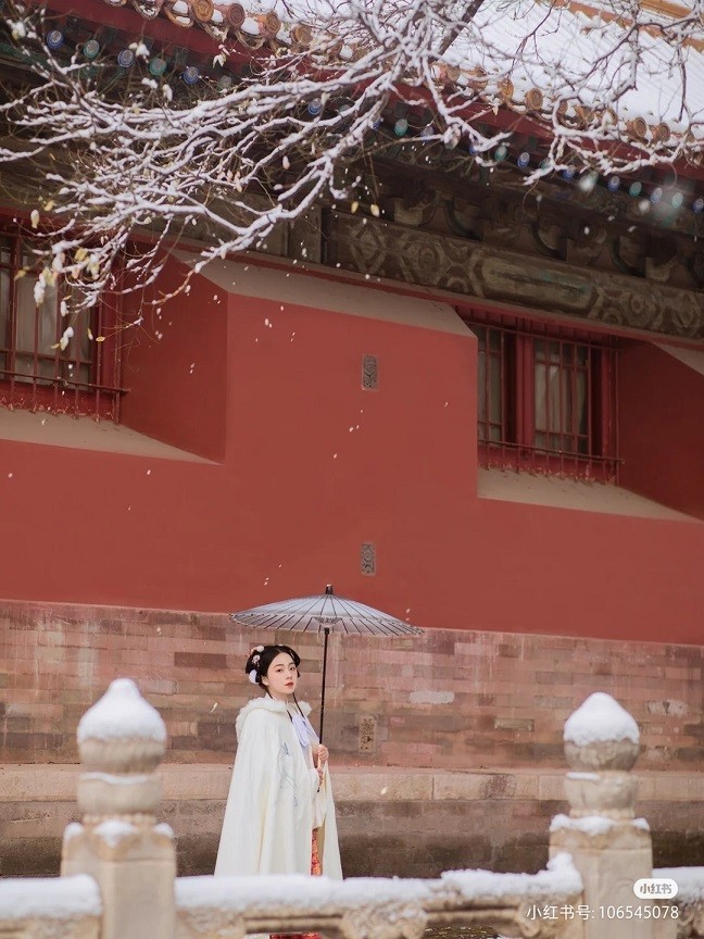 Trung Quốc: Tử Cấm Thành mờ ảo tự cổ tích trong màn tuyết trắng hiếm có