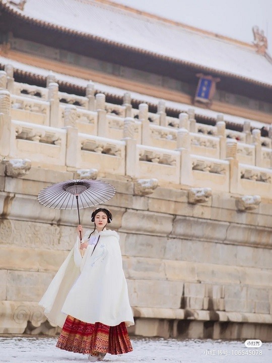 Trung Quốc: Tử Cấm Thành mờ ảo tự cổ tích trong màn tuyết trắng hiếm có