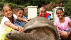 Các nhà khoa học chưa thể giải thích 'cụ' rùa khổng lồ sống lâu tới 190 tuổi